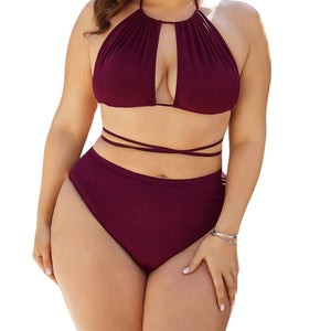 Aruba Plus Size Cutout Tied Backless Bikini Set