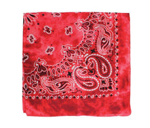 Load image into Gallery viewer, TIE DYE BANDANA - RED
